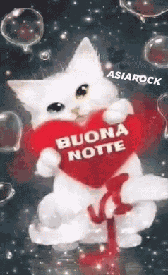 Asiarock Cat GIF