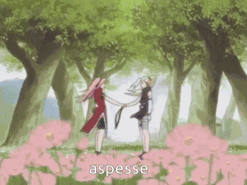 Aspesse Aspen GIF