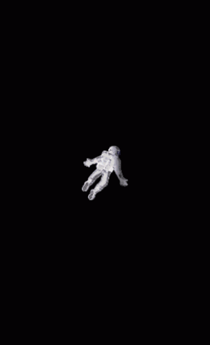 Astronaut Jameswebb GIF