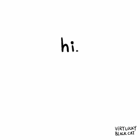 Attention Black Cat GIF
