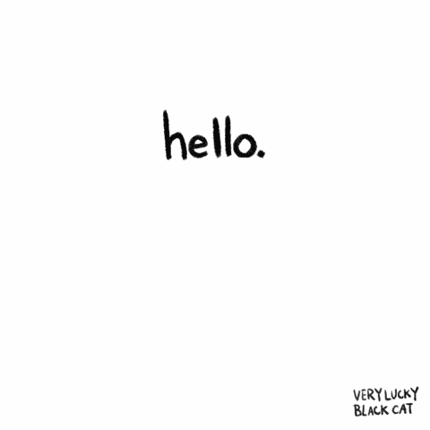 Attention Black Cat GIF