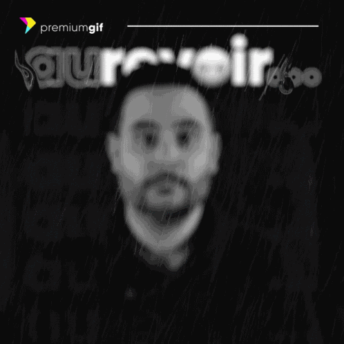 Au Revoir Bye GIF