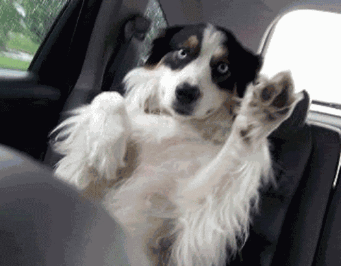 Au Revoir GIF