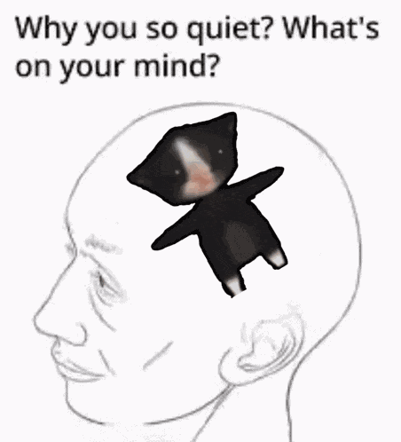 Autista Cat Meme Spinning Cat GIF