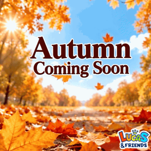 Autumn Coming Soon Fall GIF
