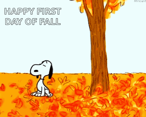 Autumn Fall GIF