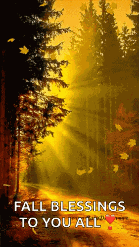 Autumn Leaves Falling Leaves GIF