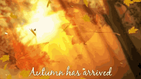 Autumn Leaves GIF