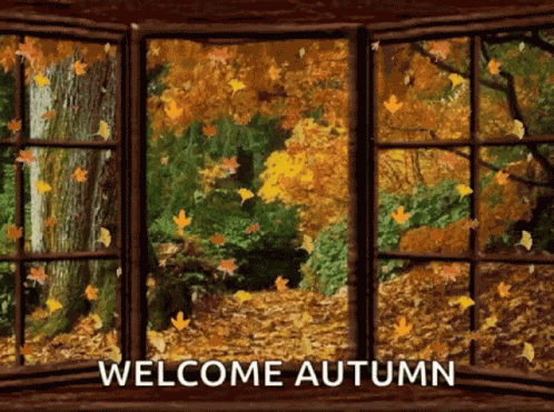 Autumn Leaves GIF