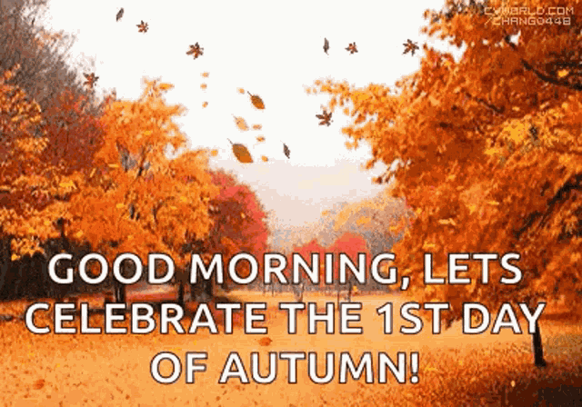 Autumn Leaves GIF