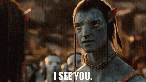 Avatar Movie I See You GIF