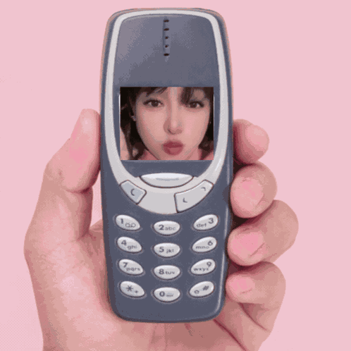 Avem3310 GIF