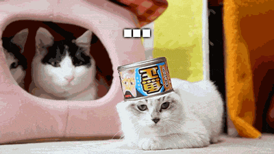 Aw Hell No Cat GIF