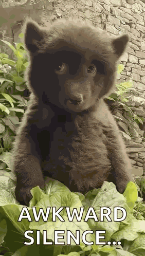 Awkward Awkward Meme GIF