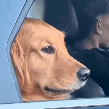Awkward Awkward Smile GIF