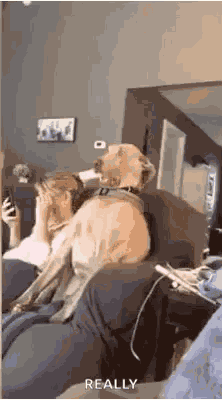 Awkward Shocked GIF