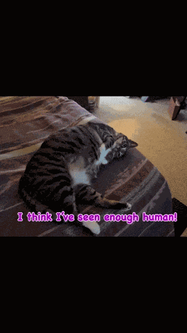 Aww Cute Aww Man GIF