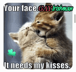 Aww Shucks Aww Man GIF