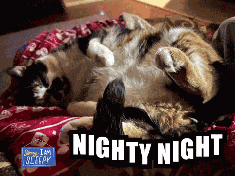 Aww Shucks Aww So Cute GIF