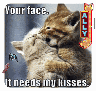 Aww Thanks Aww Shucks GIF