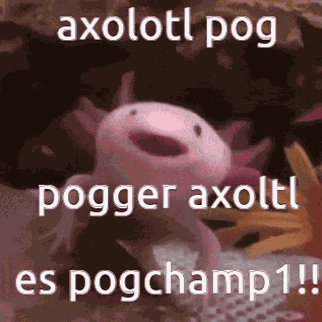 Axolotl Among Us GIF