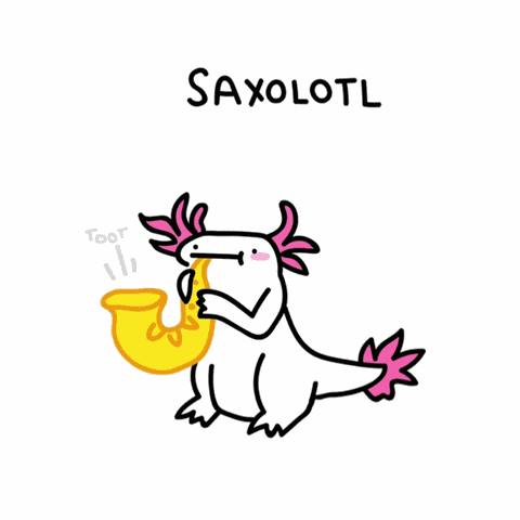 Axolotl Pun Meme