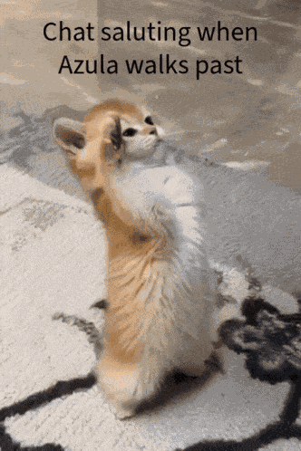 Azula Azula Hoshino GIF