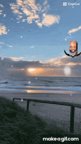 Baby Beard Baby Beard Flying GIF
