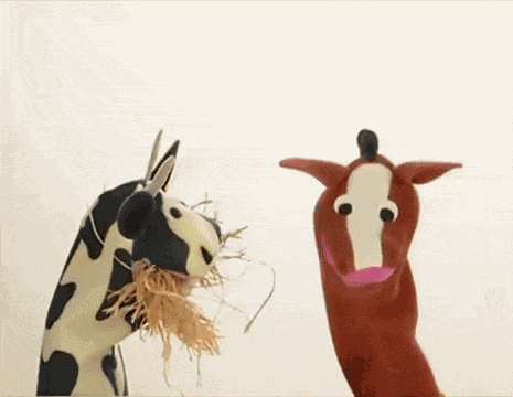Baby Einstein Puppets GIF
