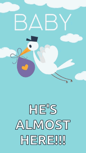 Baby Shower GIF