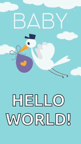 Baby Shower GIF