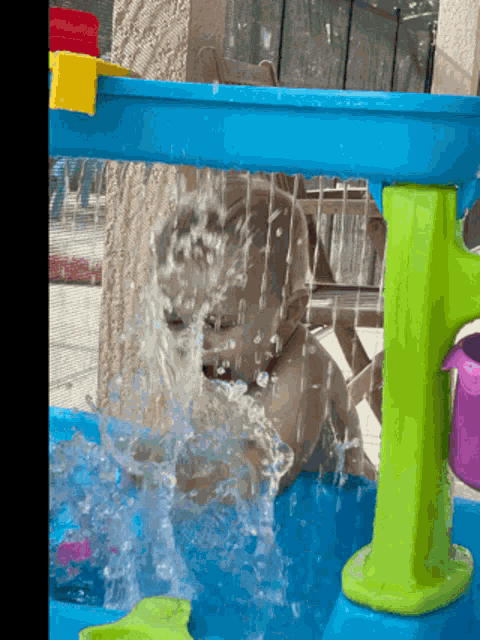 Baby Water GIF