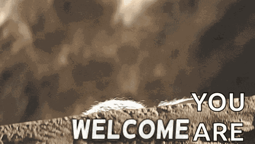 Baby Yoda Welcome GIF