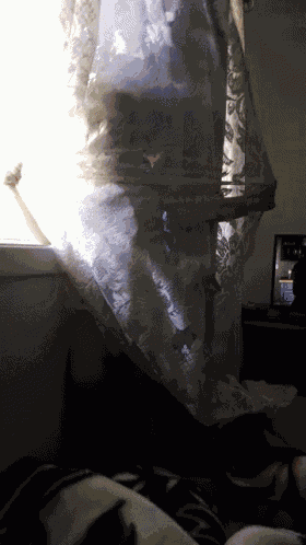 Babylily Goofball GIF