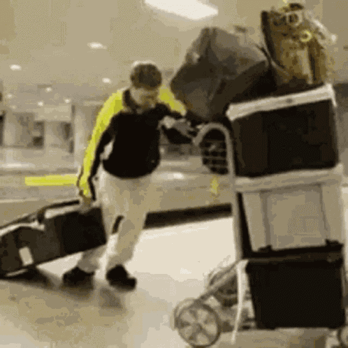 Bag Bags GIF