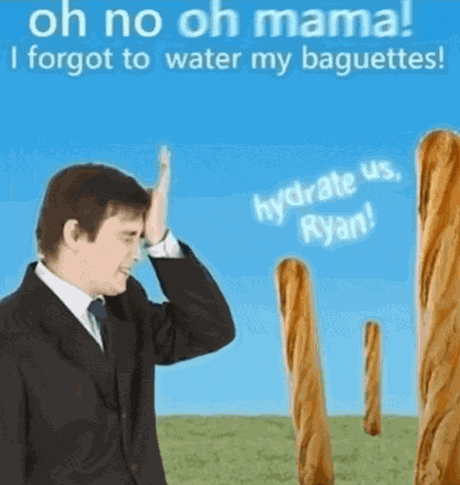 Baguette Water Meme