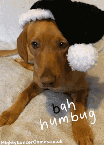 Bah Humbug Bah Humbug Gif GIF