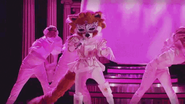 Bailar Mapache GIF