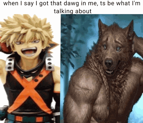 Bakugo Meme