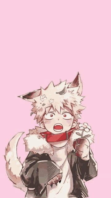 Bakugou Katsuki Cute Wolf Meme