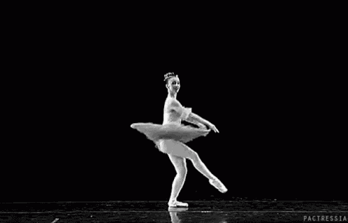 Ballerina Ballet GIF