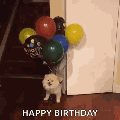 Balloon Dog GIF