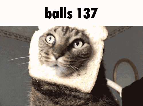 Balls 137 GIF