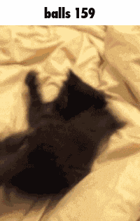 Balls 159 GIF