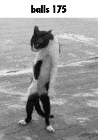 Balls 175 GIF