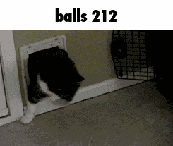 Balls 212 GIF