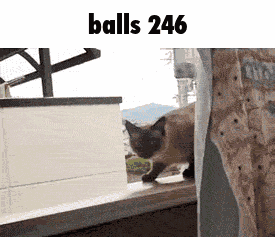 Balls 246 GIF