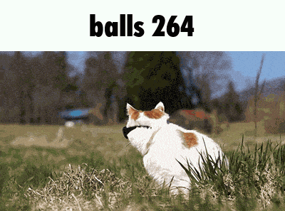 Balls 264 GIF