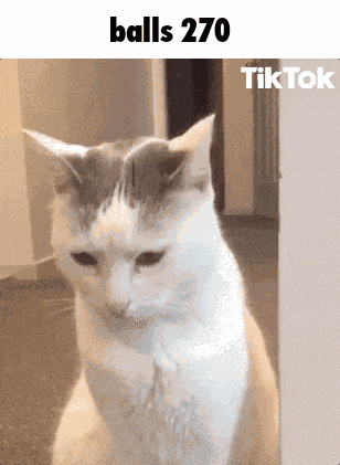 Balls 270 GIF GIF