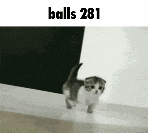 Balls 281 GIF